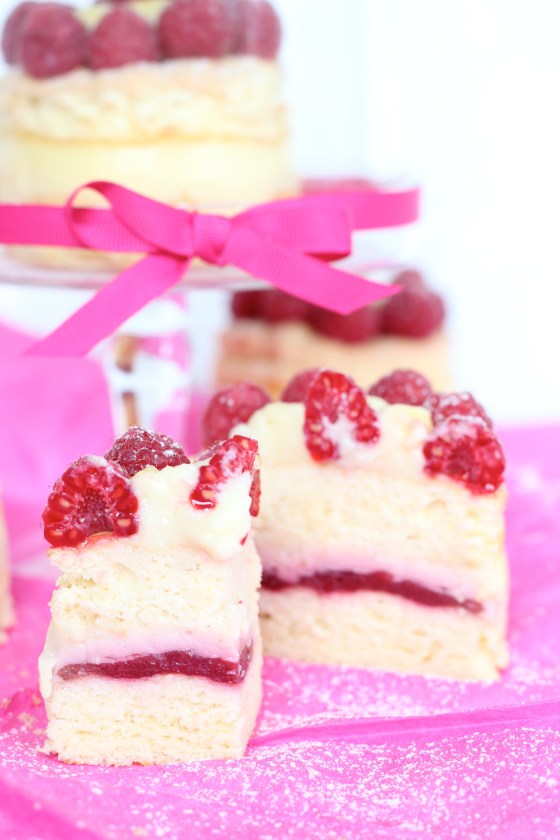 himbeer-vanille-anschnitt